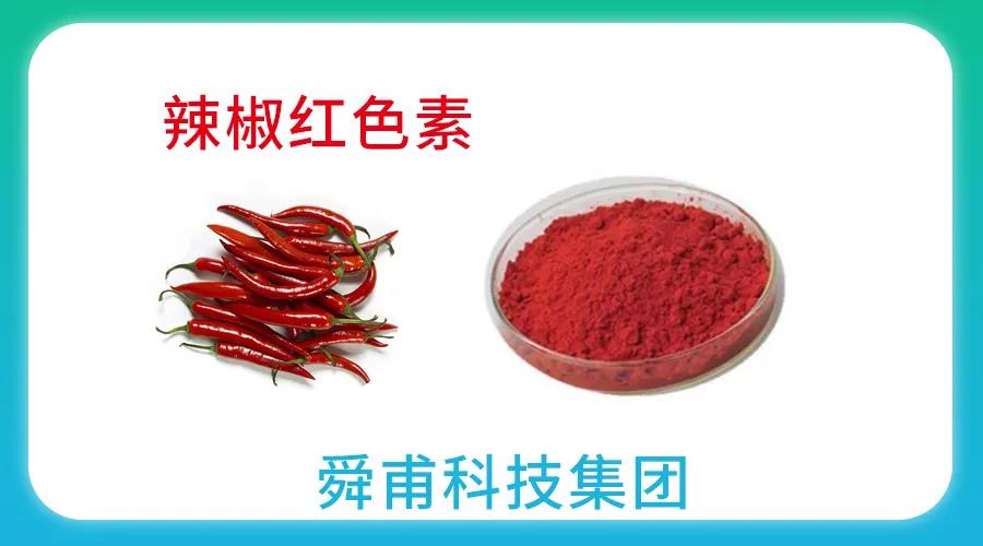 辣椒堿生産線