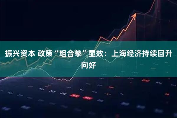 振兴资本 政策“组合拳”显效：上海经济持续回升向好