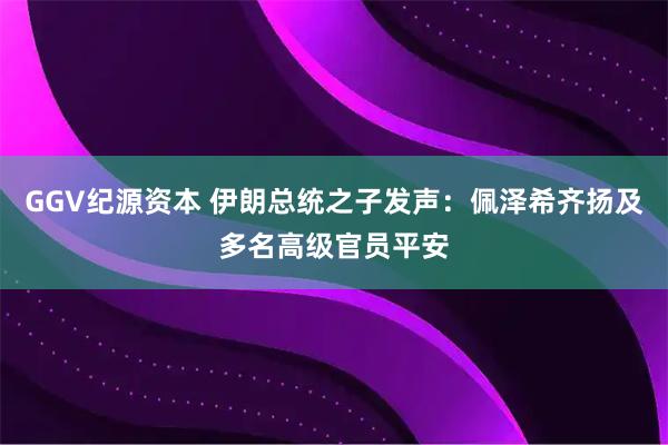 GGV纪源资本 伊朗总统之子发声：佩泽希齐扬及多名高级官员平安