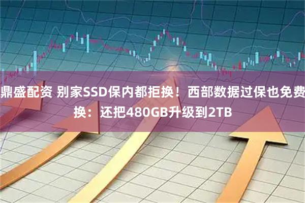 鼎盛配资 别家SSD保内都拒换！西部数据过保也免费换：还把480GB升级到2TB